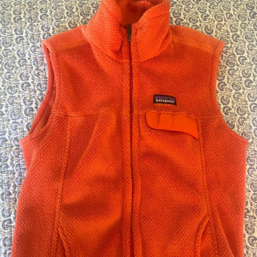 Patagonia Synchilla Fleece Vest